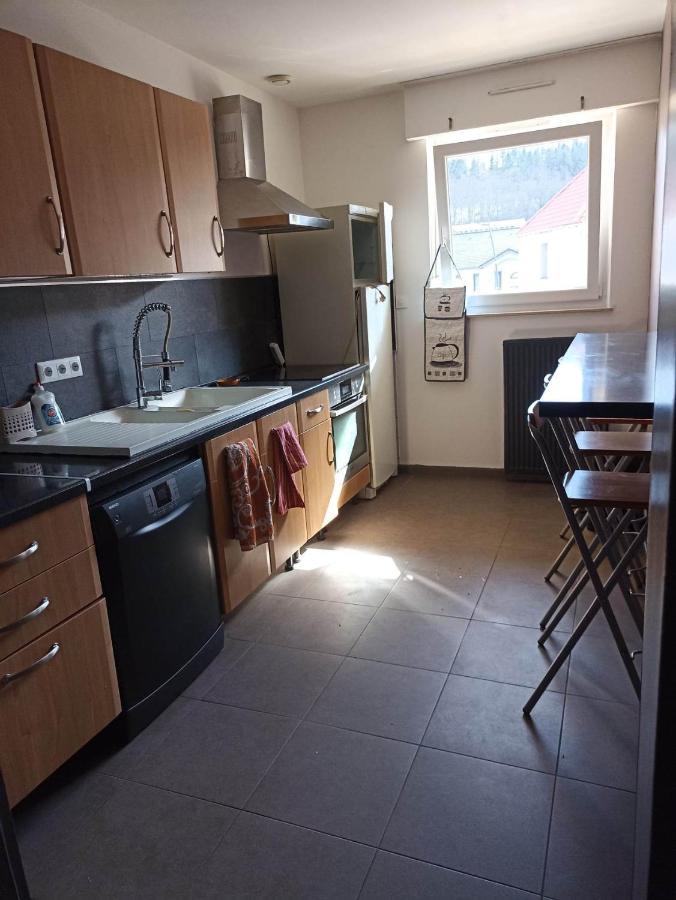 Hargarten-aux-Mines Appartement Gauche Avec Balcon מראה חיצוני תמונה